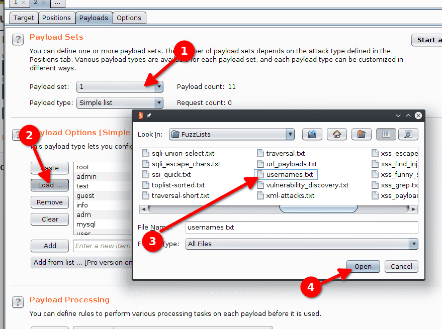 burp suite payloads